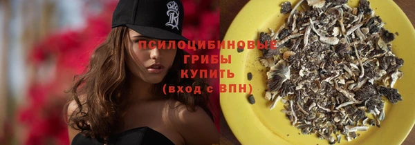 марихуана Новозыбков