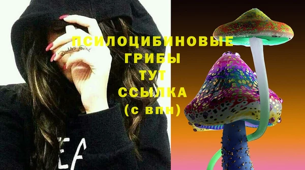 герыч Няндома