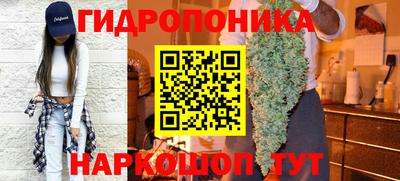a pvp Гусев