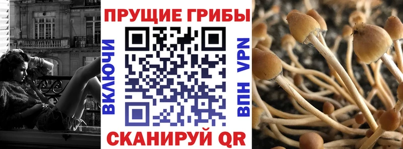 Галлюциногенные грибы прущие грибы  Изобильный 