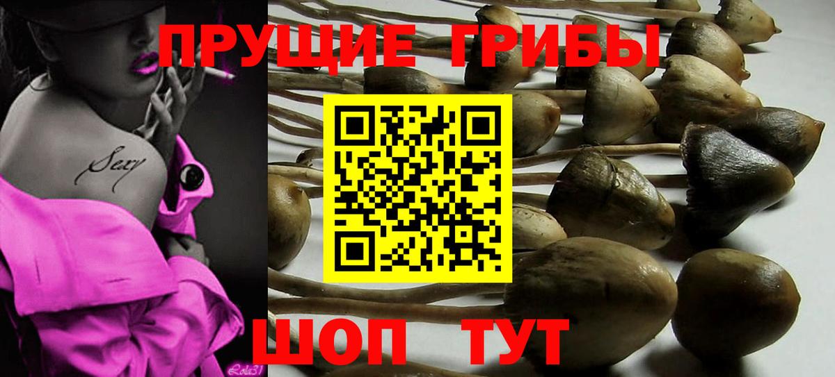 Изобильный  НБОМе  Экстази  Меф МЯУ МЯУ   Канабис  МЕФ кристаллы  COCAIN  ГАШ  MDMA 