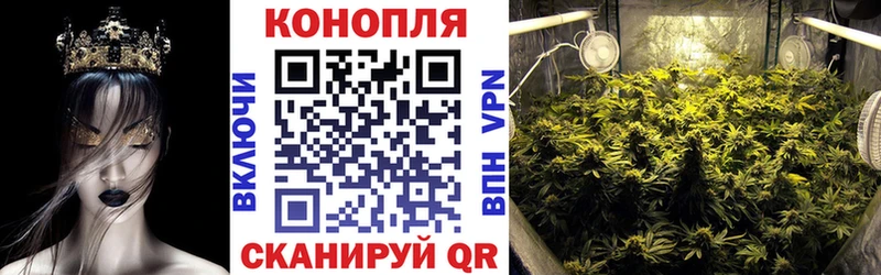 Канабис Bruce Banner  Изобильный 